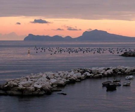 Terrazze Del Lungomare Bed and Breakfast Napels Buitenkant foto